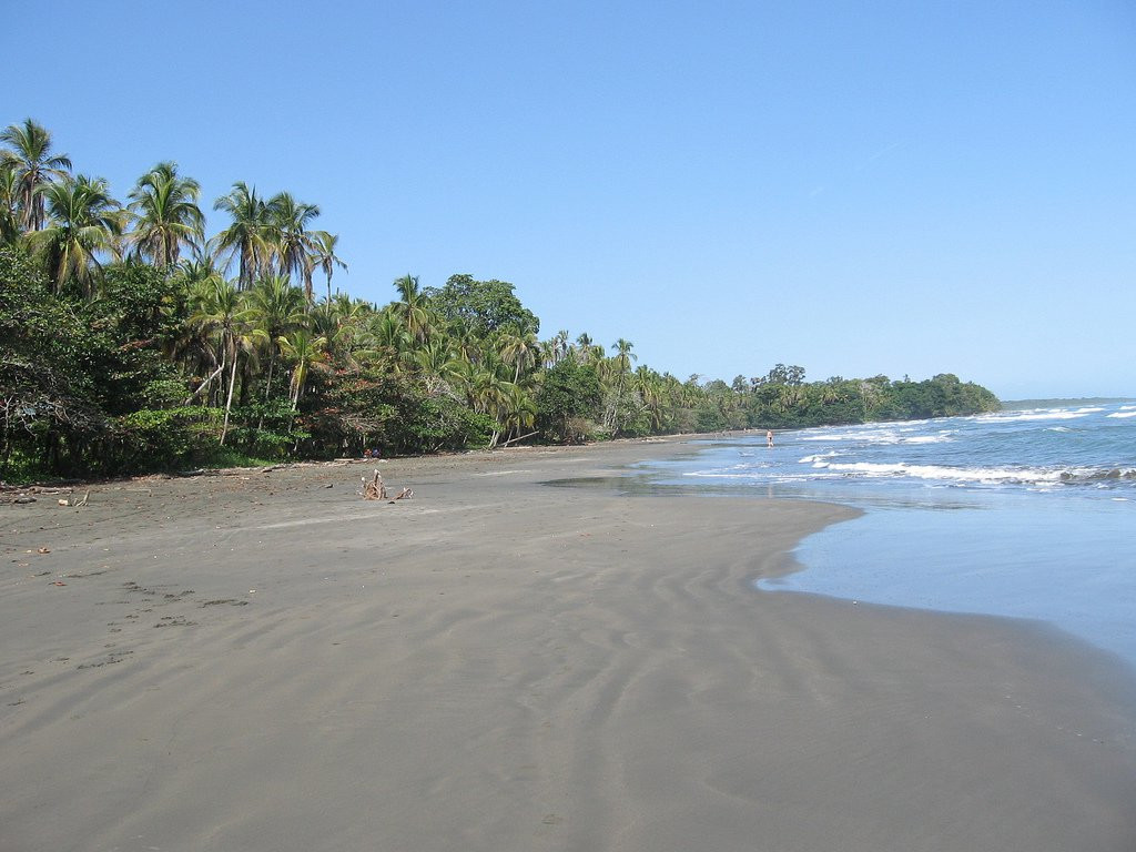 Кауита, Лимон провинция, Коста-Рика, фото № 40042 – фотографии Коста-Рики