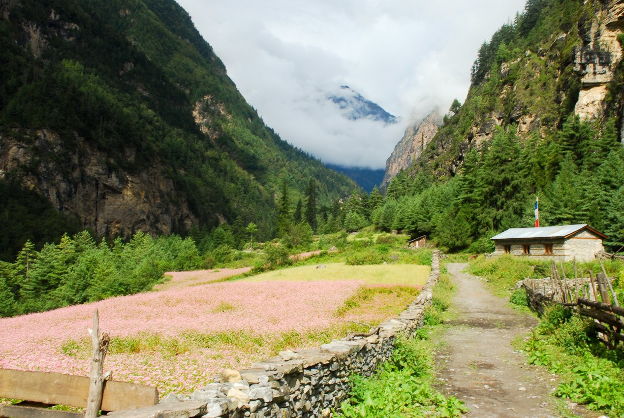Аннапурна заповедник, Непал, фото № 78885 – фотографии Непала