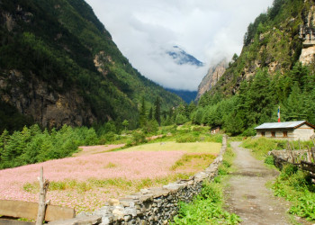 Аннапурна заповедник, Непал, фото № 78885 – фотографии Непала
