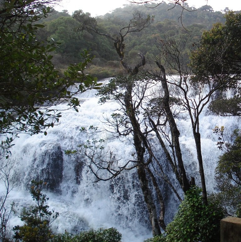 Нувара Элия, Шри-Ланка, фото № 52080 – фотографии Шри-Ланки