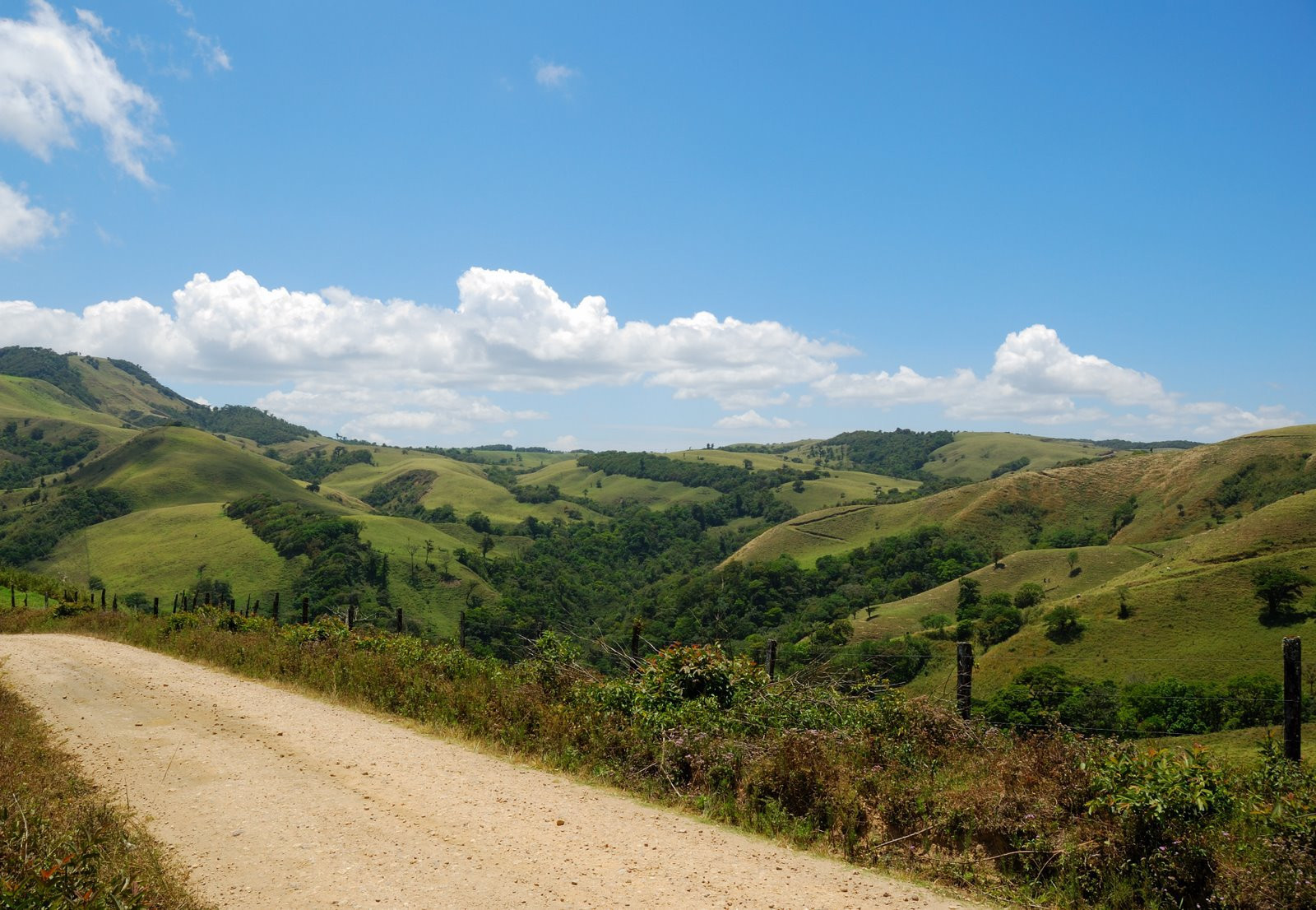 Монтеверде, Пунтаренас провинция, Коста-Рика, фото № 40758 – фотографии Коста-Рики