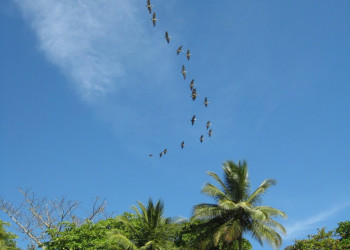 Плайя Гранде, Гуанакасте провинция, Коста-Рика, фото № 39457 – фотографии Коста-Рики
