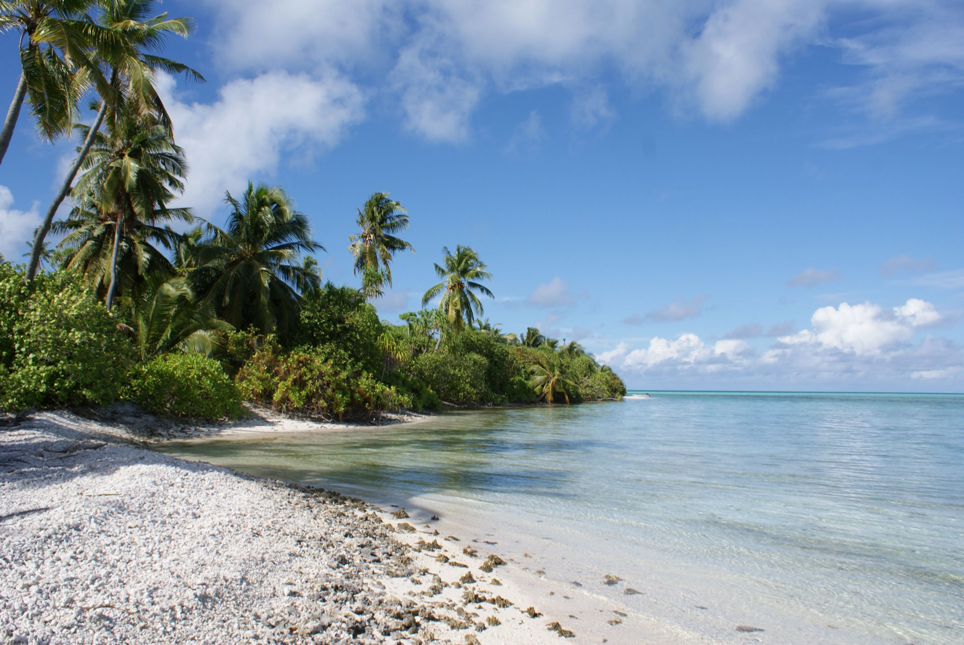 Пляж в Гаафу Даалу Атолл, Мальдивы. Фото 1 – фотографии Мальдивских островов