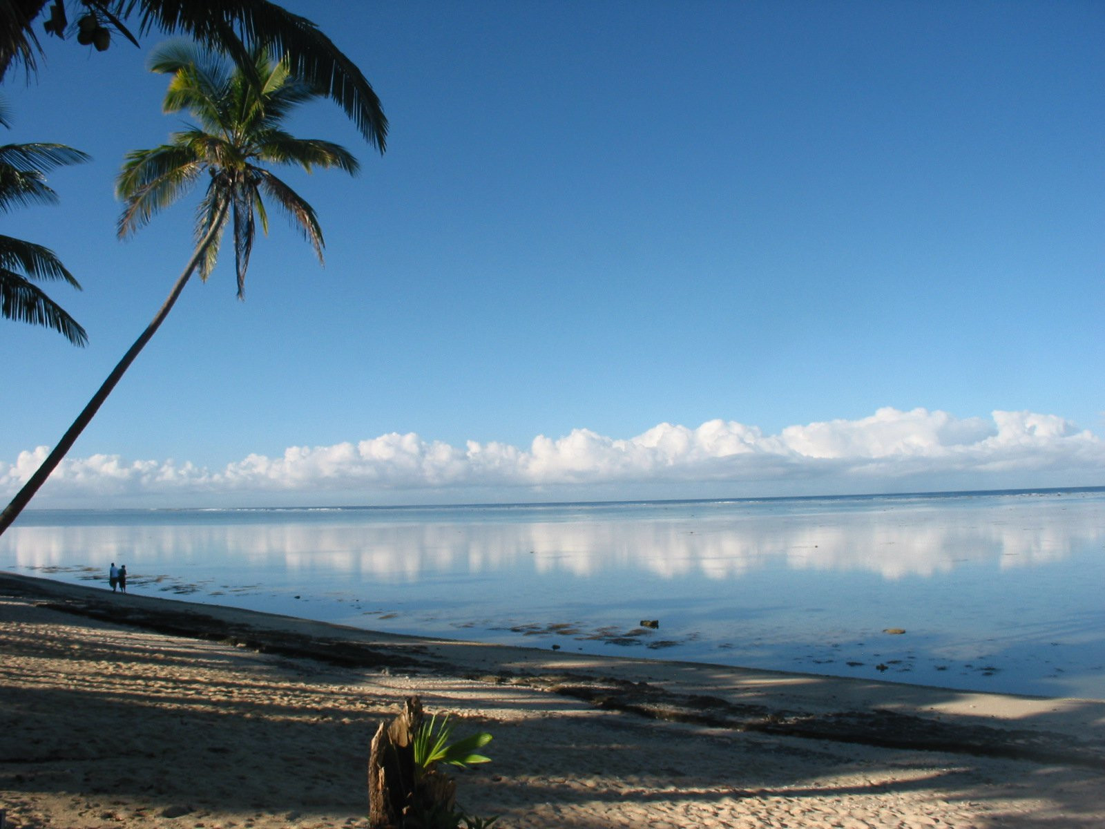 Янука остров, Лоу группа островов, Фиджи, фото № 48658 – фотографии Фиджи
