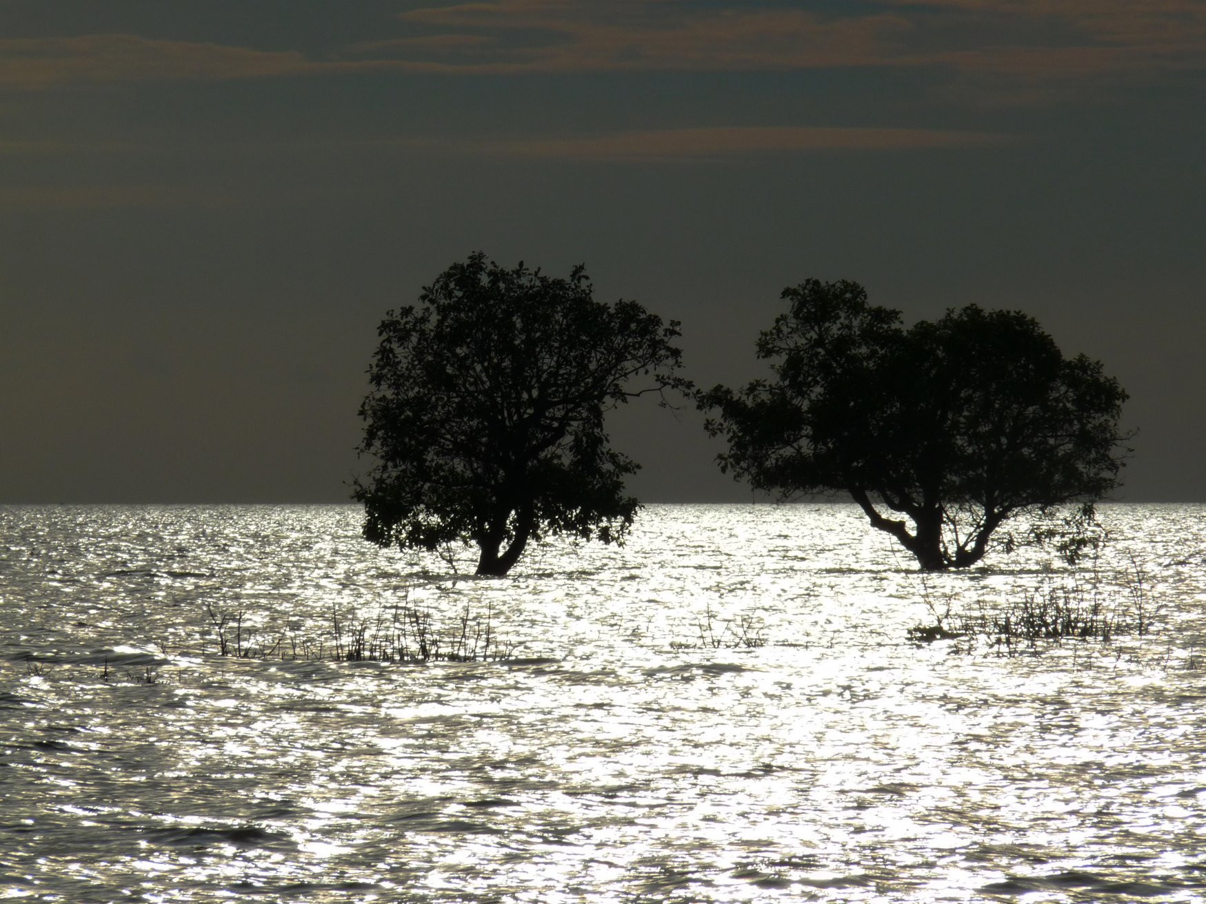 Пейзажи озера Тонлесап – фотографии Камбоджи
