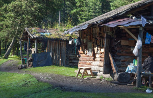 Шумак. Фото 1 – фотографии России