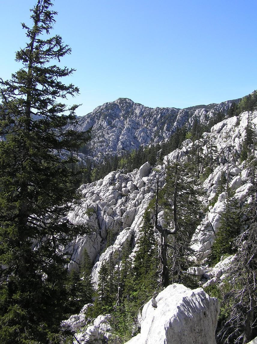 Горы в Национальном парке, Хорватия. Фото 10 – фотографии Хорватии