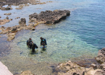 Чиркевва, Мальта остров, Мальта, фото № 43150 – фотографии Мальты