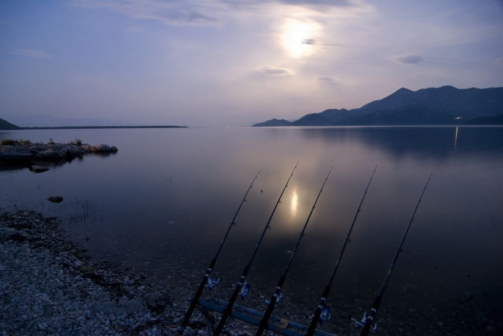 Скадарское озеро, Черногория. Фото 22 – фотографии Черногории