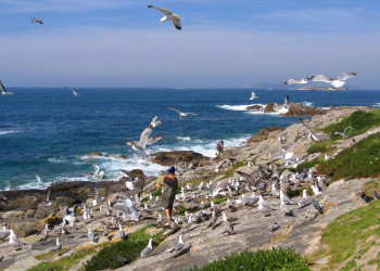 Байона (Bayona) – фотографии Испании