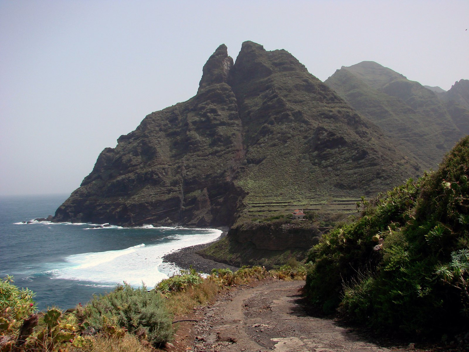 Пунта-дель-Идальго, Тенерифе остров, Канарские острова, фото № 33595 – фотографии Канарских островов