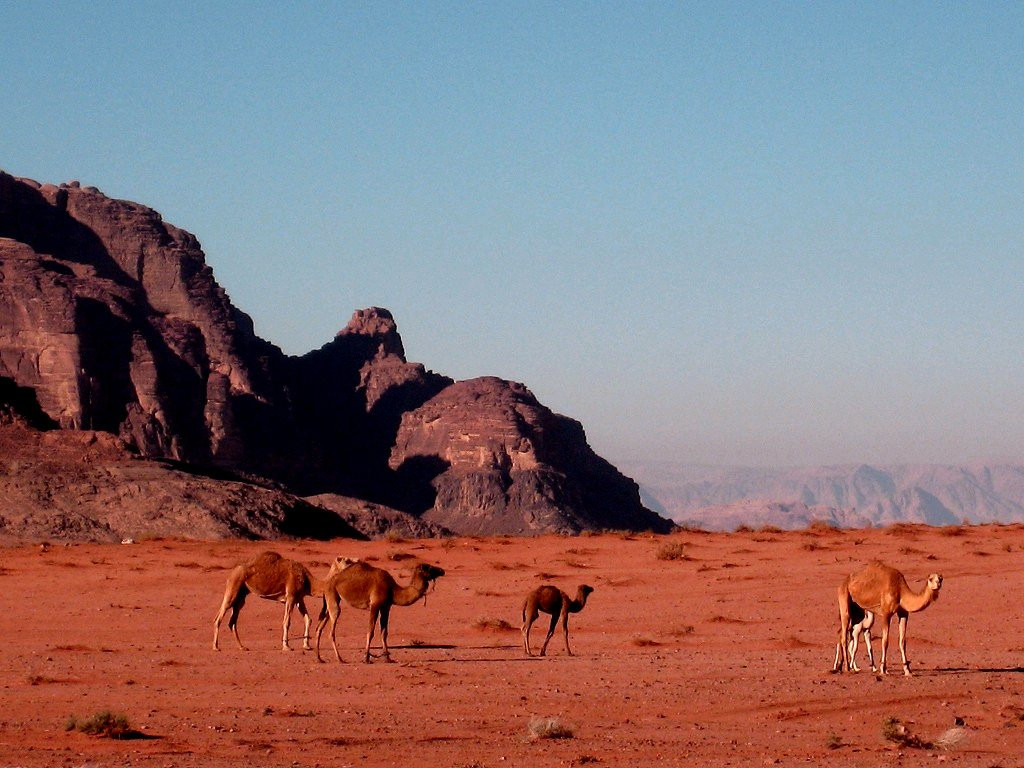 Вади Рам, Иордания, фото № 36464 – фотографии Иордании