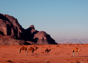 Вади Рам, Иордания, фото № 36464 – фотографии Иордании