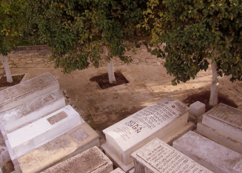 Фес, Марокко, фото № 8512 – фотографии Марокко