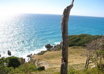 Бараона, Доминикана, фото № 30308 – фотографии Доминиканы