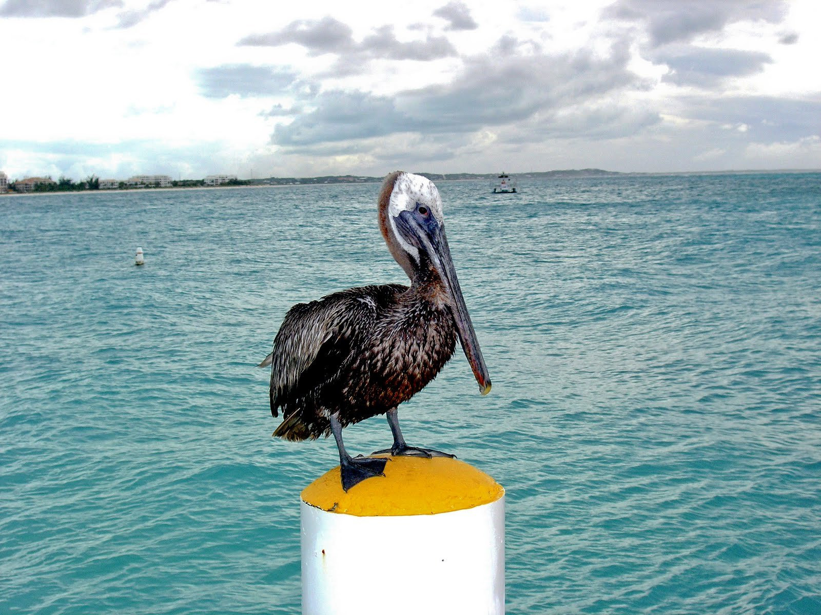 Тёркс и Кайкос, фото № 4087 – фотографии Тёркс и Кайкос
