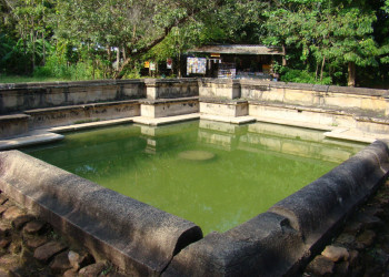 Полоннарува, Шри-Ланка, фото № 52161 – фотографии Шри-Ланки