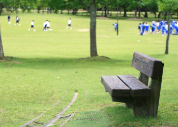 Nara – фотографии Японии