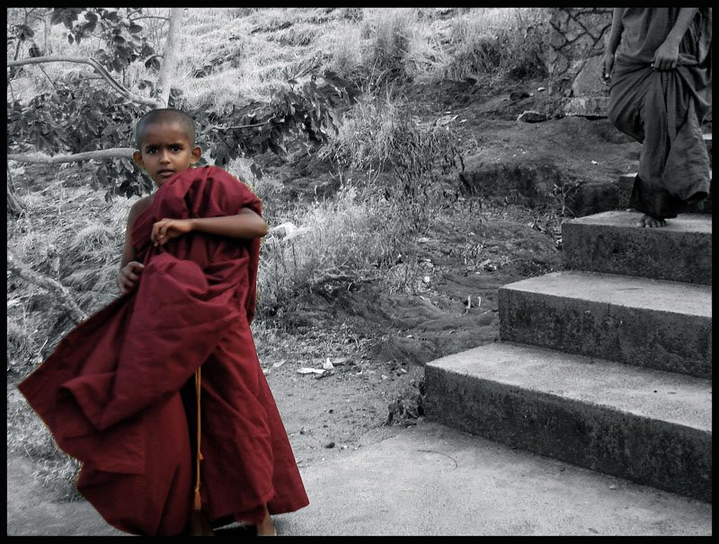 Дамбулла, Шри-Ланка, фото № 51106 – фотографии Шри-Ланки