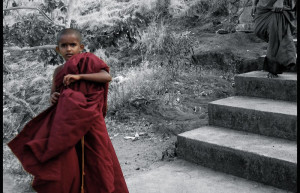 Дамбулла, Шри-Ланка, фото № 51106 – фотографии Шри-Ланки