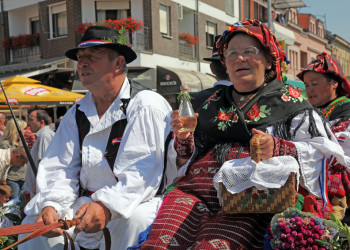 Джя́ково, Хорватия. Фото 3 – фотографии Хорватии