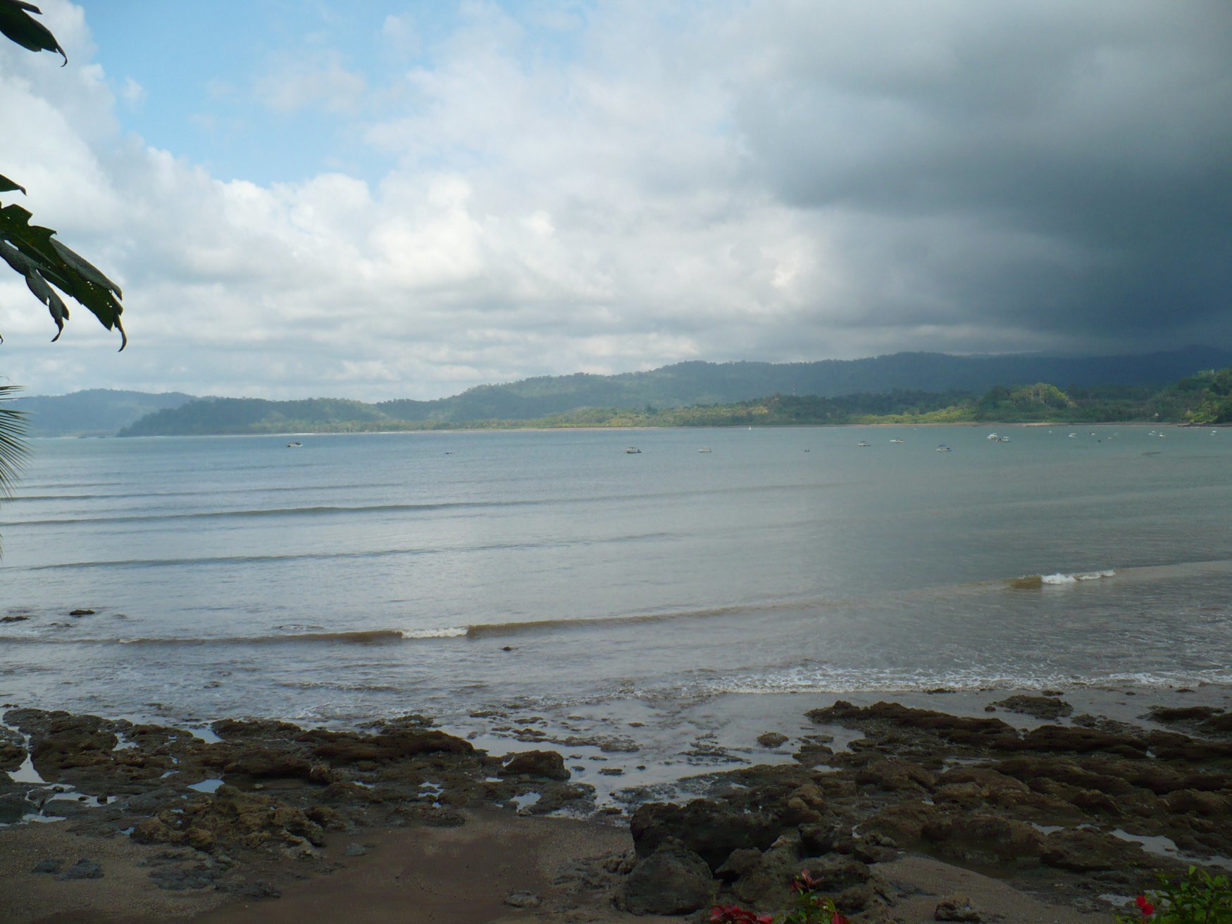 Дрейк Бэй, Пунтаренас провинция, Коста-Рика, фото № 40479 – фотографии Коста-Рики