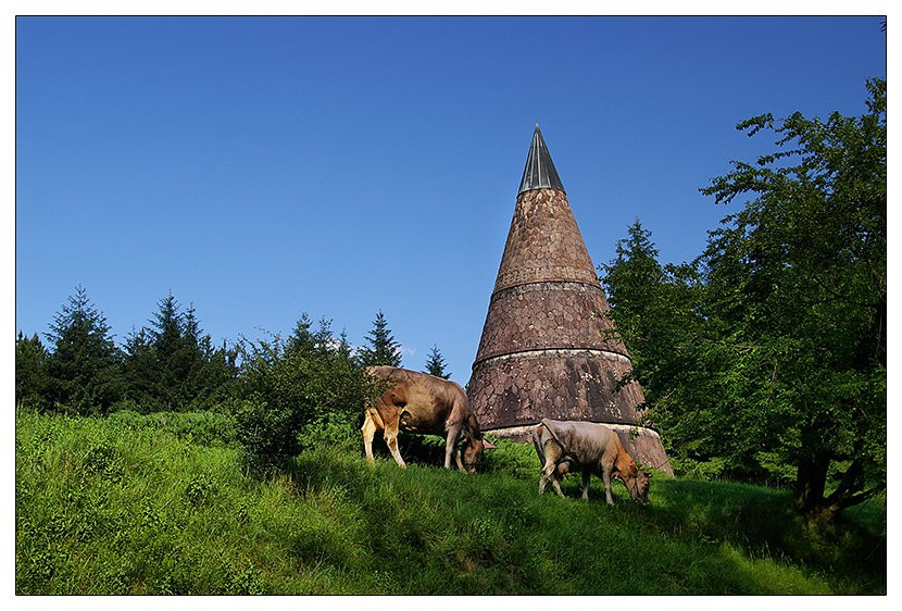 Животные в Беране, Черногория – фотографии Черногории