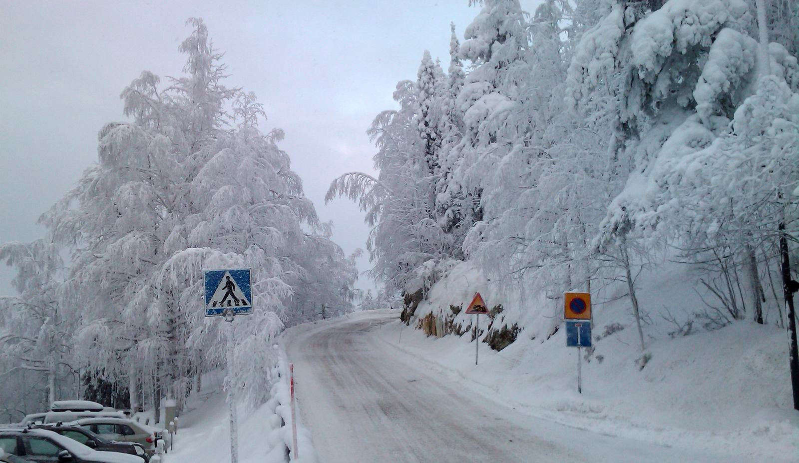 Коли, Финляндия, фото № 74546 – фотографии Финляндии