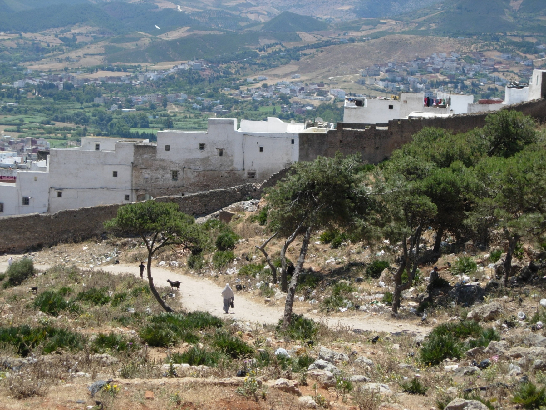 Тетуан, Марокко, фото № 8210 – фотографии Марокко