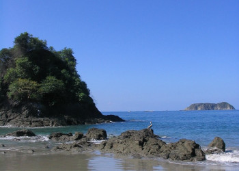 Мануэль Антонио Национальный Парк, Пунтаренас провинция, Коста-Рика, фото № 40660 – фотографии Коста-Рики