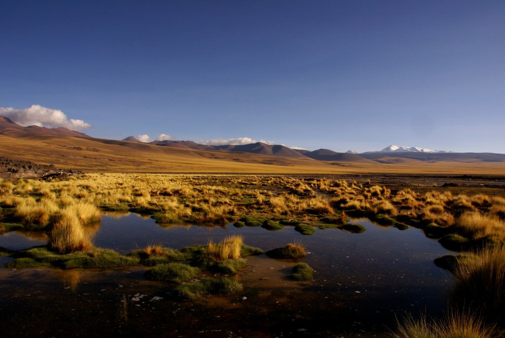 Природа Аргентины. Фото 1 – фотографии Аргентины