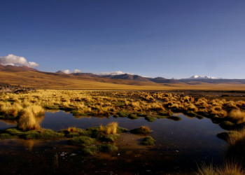 Природа Аргентины. Фото 1 – фотографии Аргентины