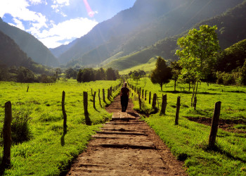 Долина Кокора. Фото 8 – фотографии Колумбии