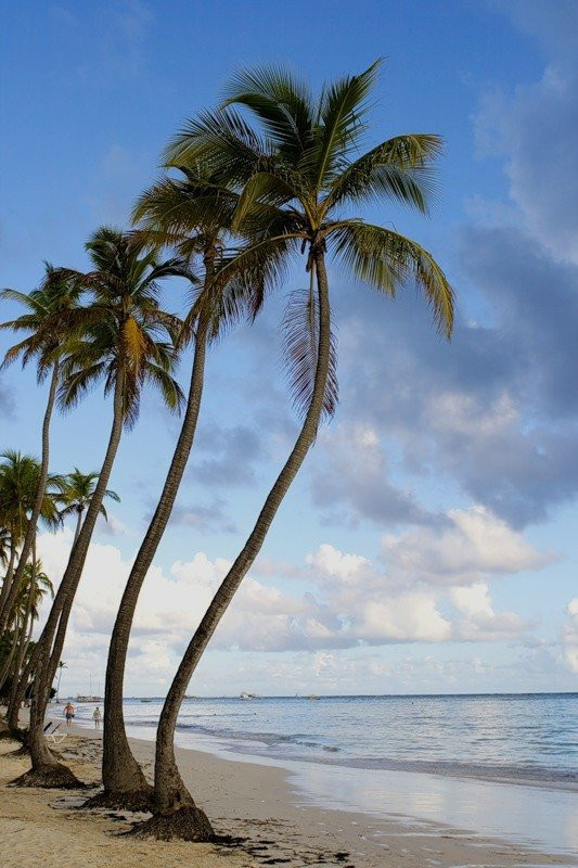 Доминикана, фото № 414 – фотографии Доминиканы