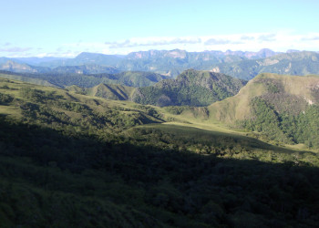 Национальный парк Амборо (Amboro National Park) – фотографии Боливии