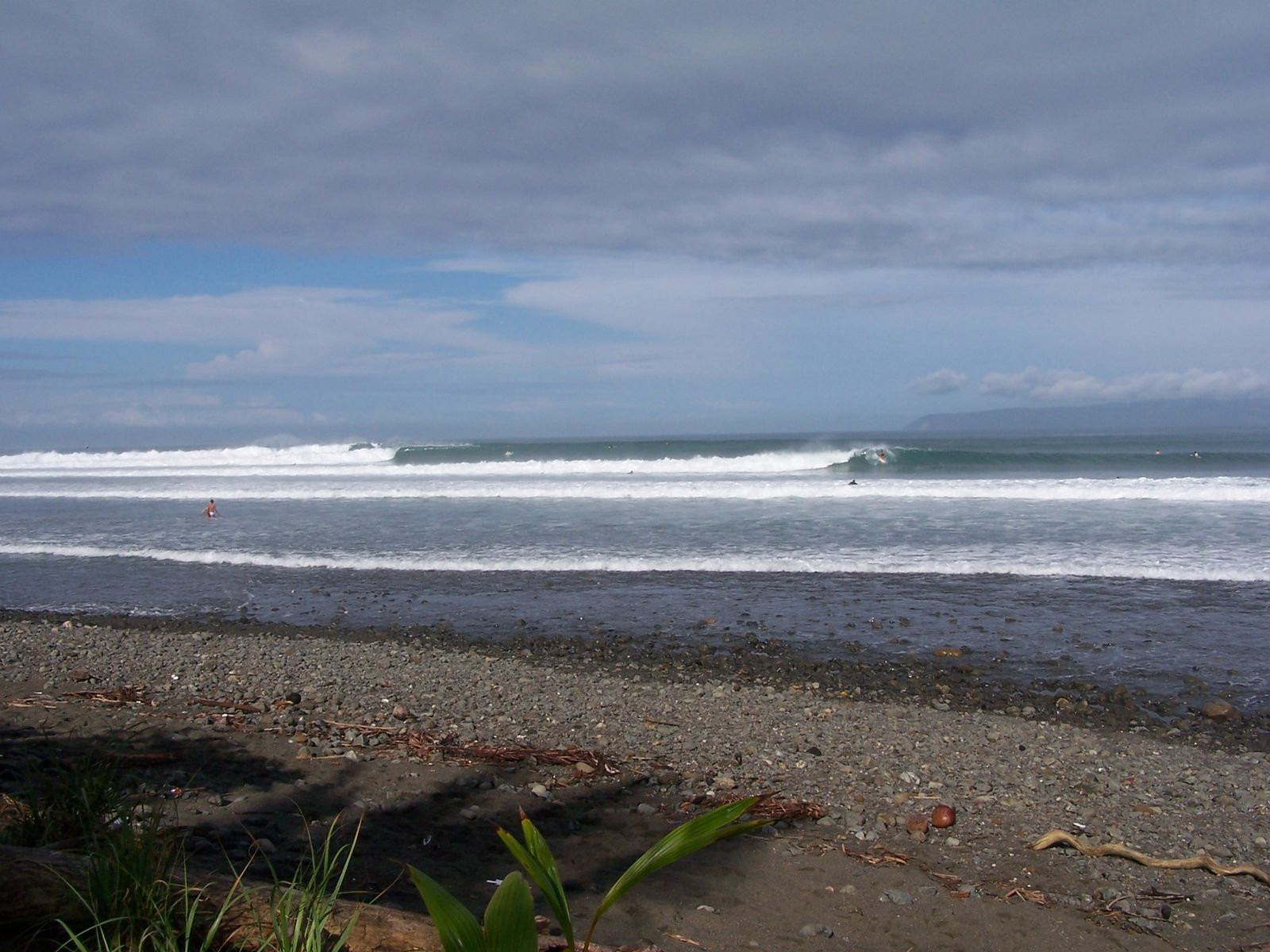 Павонес, Пунтаренас провинция, Коста-Рика, фото № 40894 – фотографии Коста-Рики