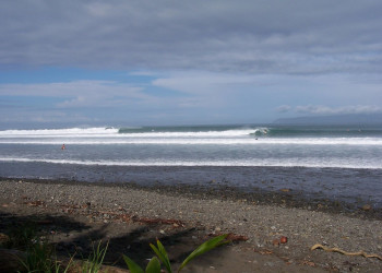 Павонес, Пунтаренас провинция, Коста-Рика, фото № 40894 – фотографии Коста-Рики