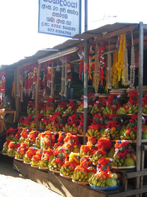 Катарагама, Шри-Ланка, фото № 51475 – фотографии Шри-Ланки