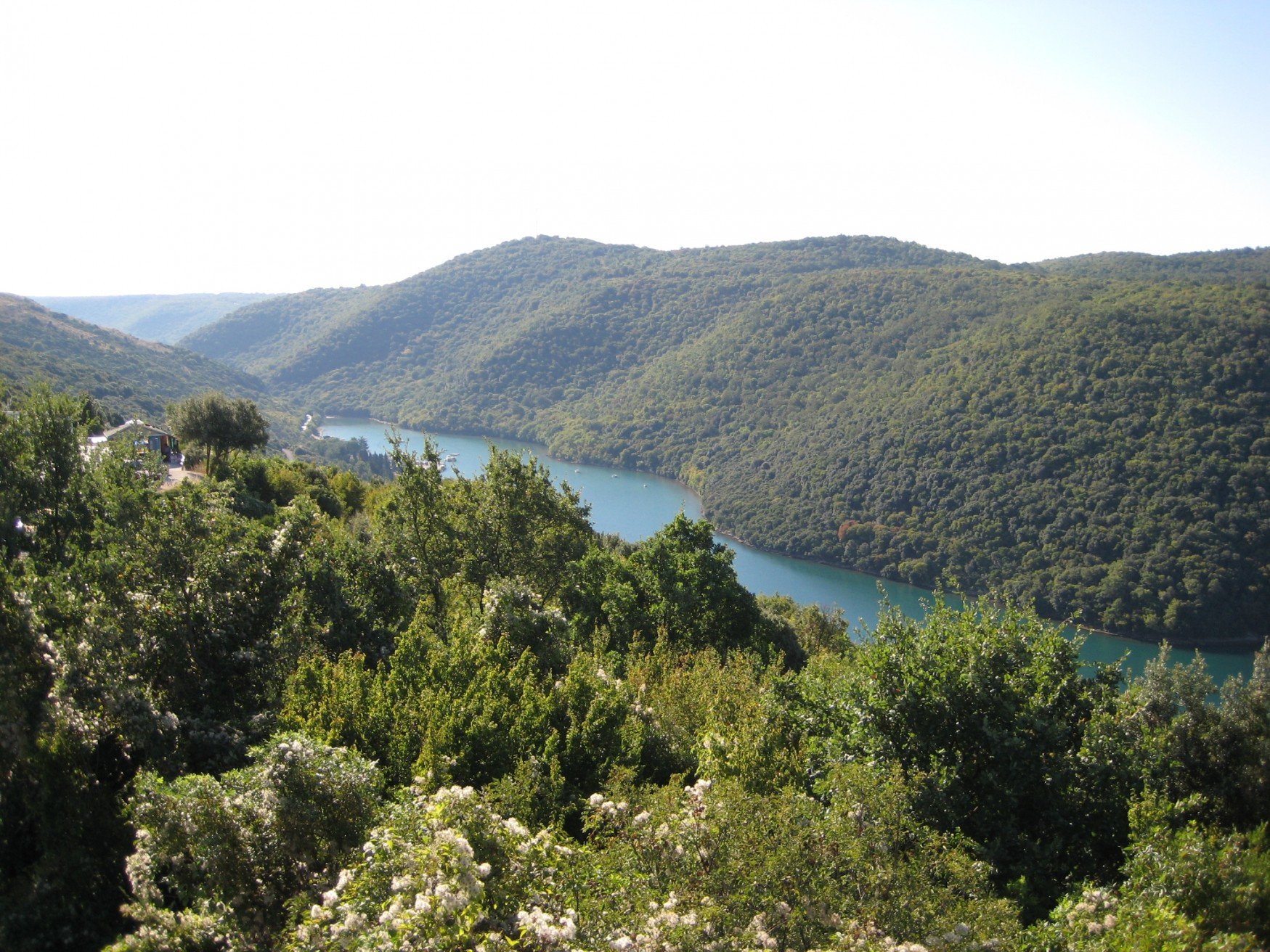 Природа Лимского канала, Хорватия. Фото 11 – фотографии Хорватии