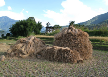 Бутан, фото № 4718 – фотографии Бутана