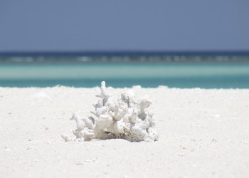 Пляж в Хаа Алифу Атолл, Мальдивы – фотографии Мальдивских островов