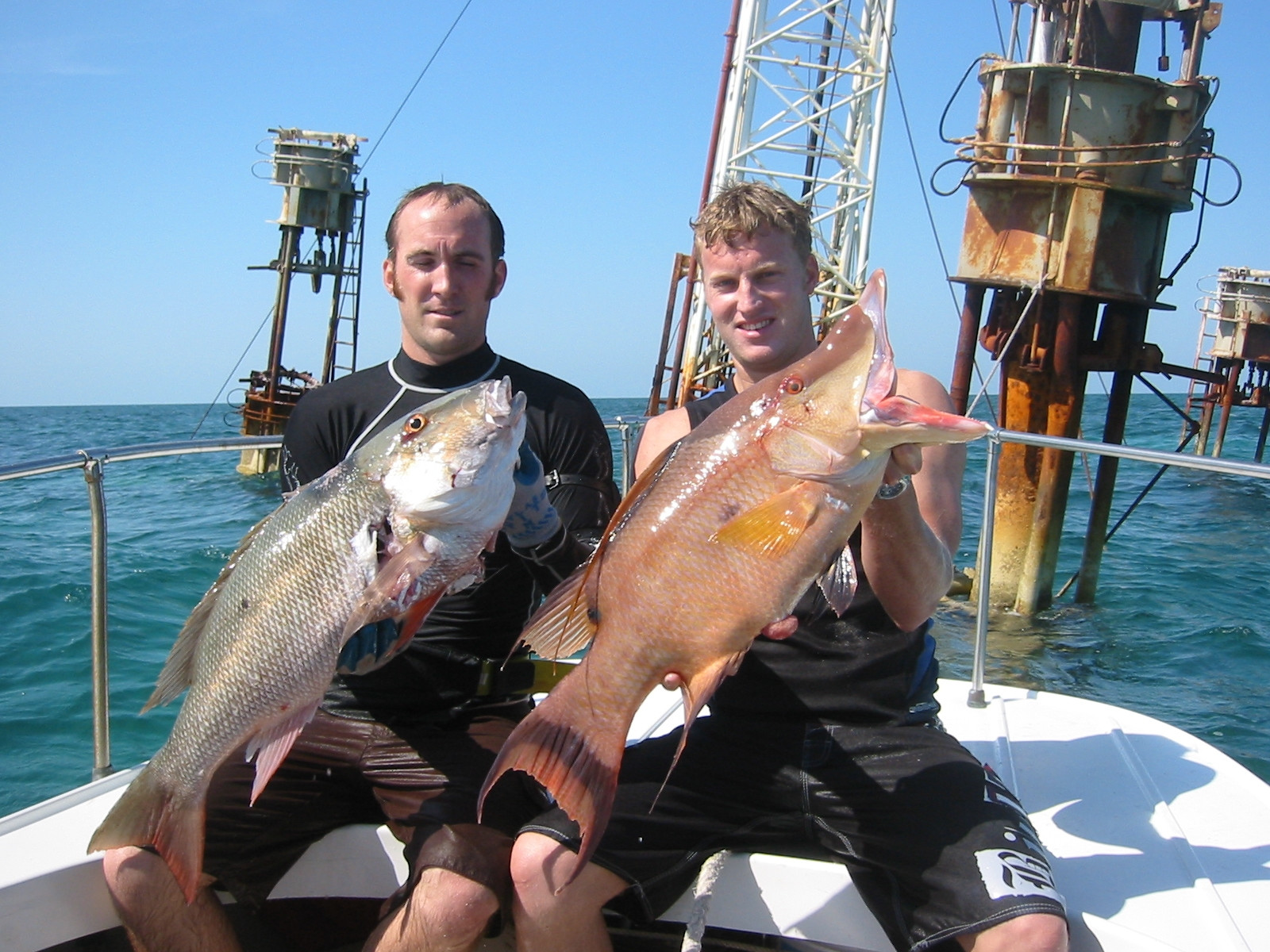 Удачная рыбалка на острове Абако, Багамские острова – фотографии Багамских островов