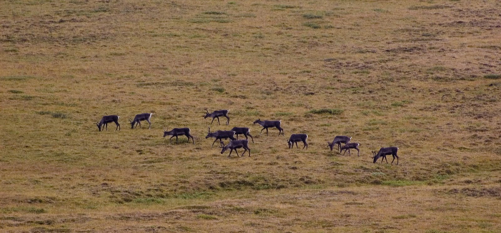 Аляска штат, США, фото № 67692 – фотографии США