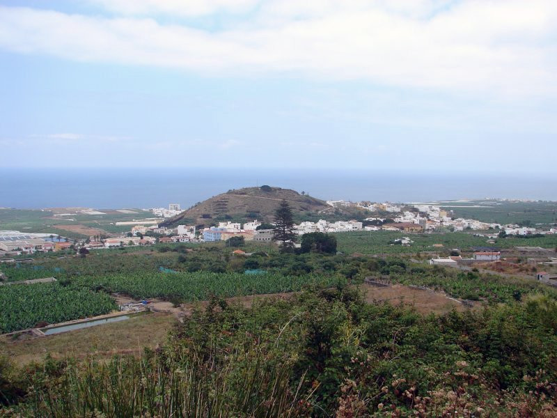 Лос-Силос, Тенерифе остров, Канарские острова, фото № 33454 – фотографии Канарских островов