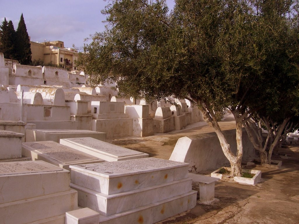 Фес, Марокко, фото № 8511 – фотографии Марокко