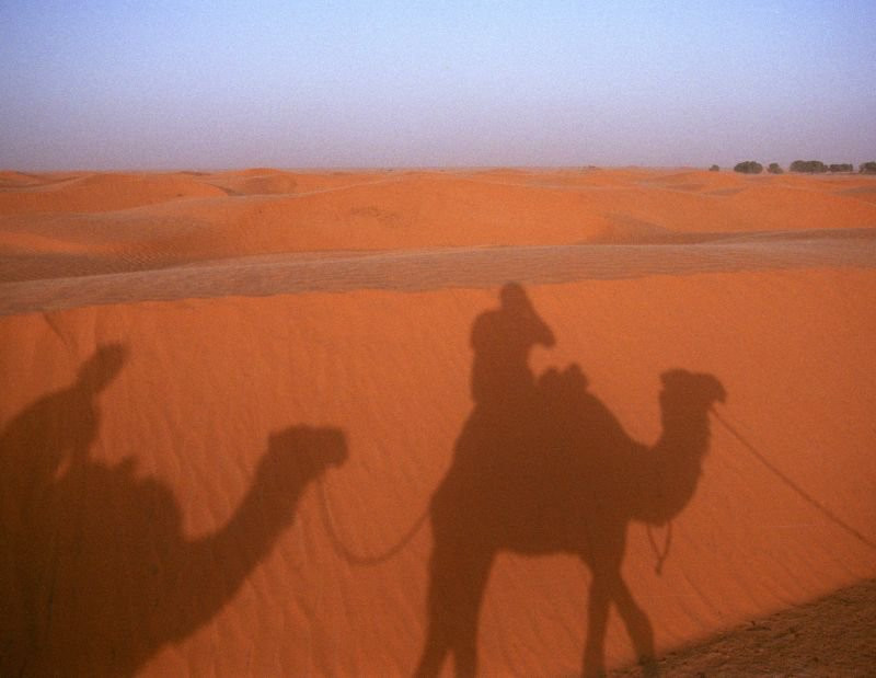 Караван в пустыне, Тунис. Фото 1 – фотографии Туниса