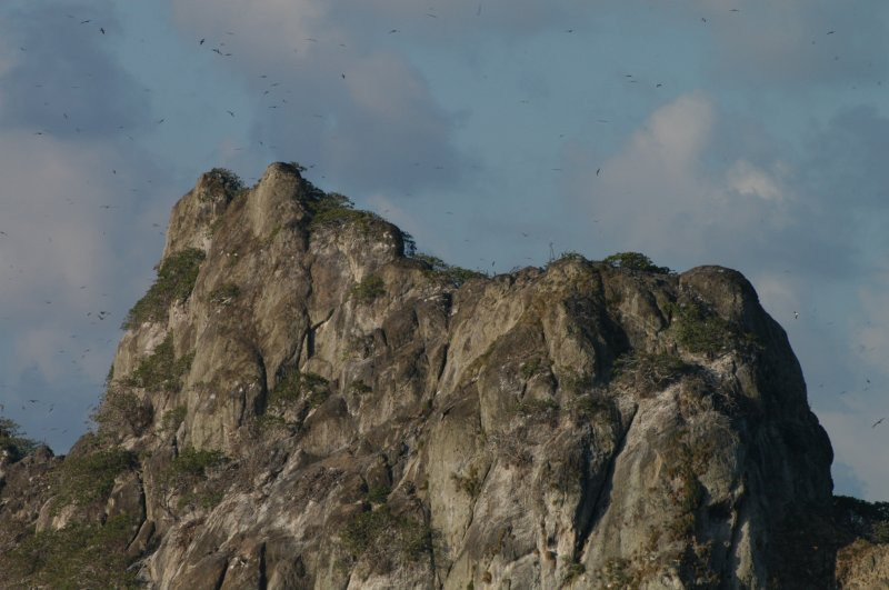 о.Кокос, Пунтаренас провинция, Коста-Рика, фото № 40858 – фотографии Коста-Рики