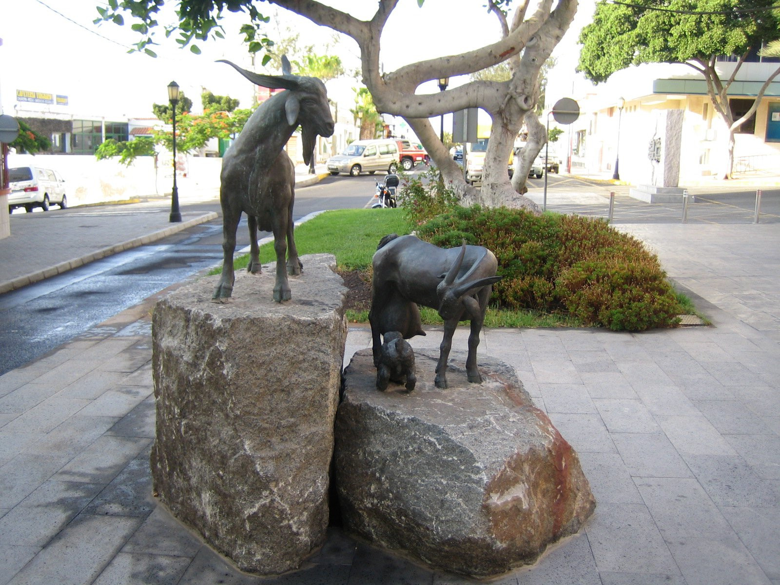 Пуэрто-дель-Росарио, Фуэртевентура остров, Канарские острова, фото № 34370 – фотографии Канарских островов