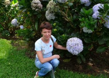 Гортензии.кофейная плантация – фотографии Коста-Рики