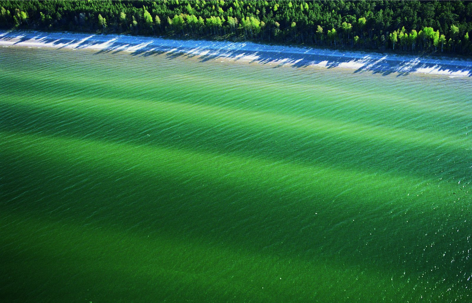 Балтийское побережье Латвии – фотографии Латвии
